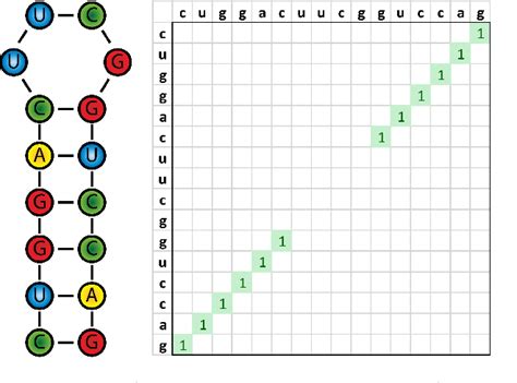 Figure 2 from AlphaGo-like Inverse RNA Folding algorithms | Semantic ...