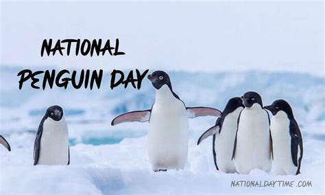 National Penguin Day 2023 - Friday, January 20 - Nationaldaytime.com