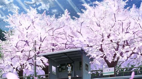 Anime Aesthetic Wallpaper Cherry Blossom Tree | Images and Photos finder