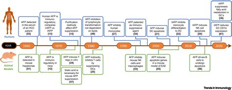 Immunomodulatory impact of α-fetoprotein: Trends in Immunology