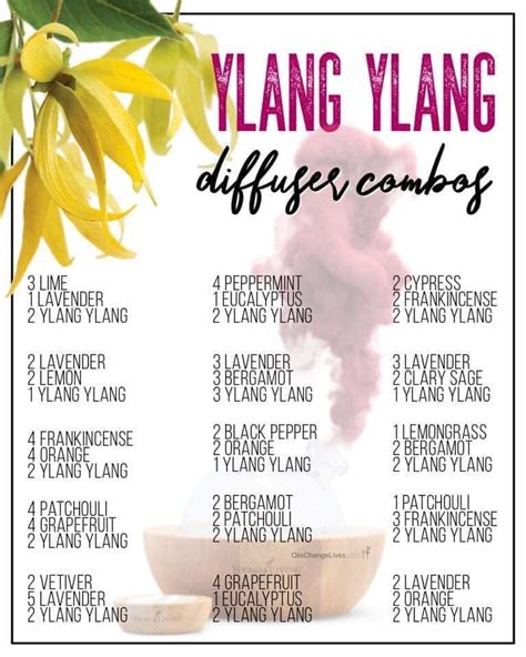 Ylang ylang diffuser blends Essential Oils Guide, Essential Oil Uses, Doterra Essential Oils ...