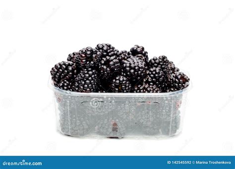 Photo of Ripe Blackberry in Container . Stock Photo - Image of bowl ...