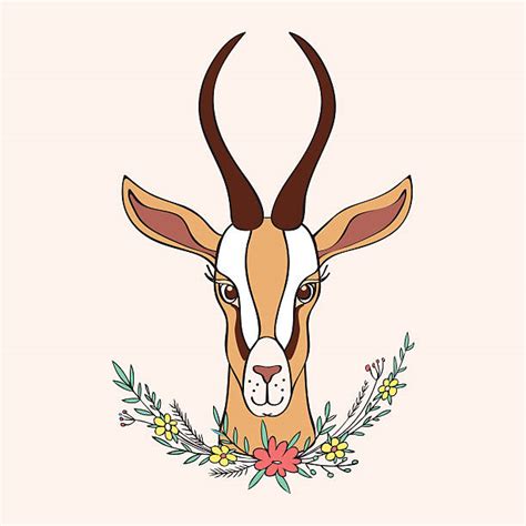 Best Springbok Illustrations, Royalty-Free Vector Graphics & Clip Art ...