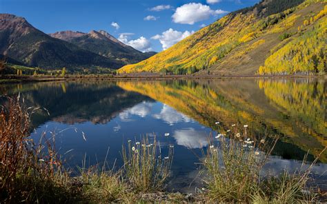 Leaf Peeping – Colorado | Ecobuddy Base Camp