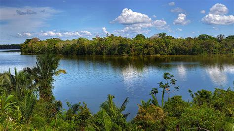 Tambopata Reserve 5 days, Amazon Jungle Peru Trip