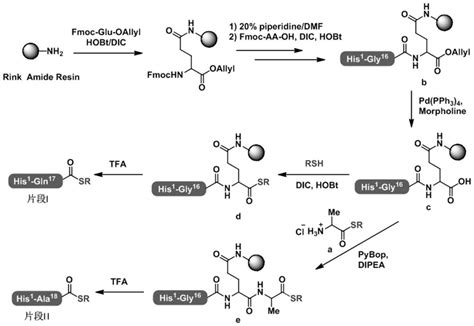 Synthesis method of semaglutide - Eureka | Patsnap