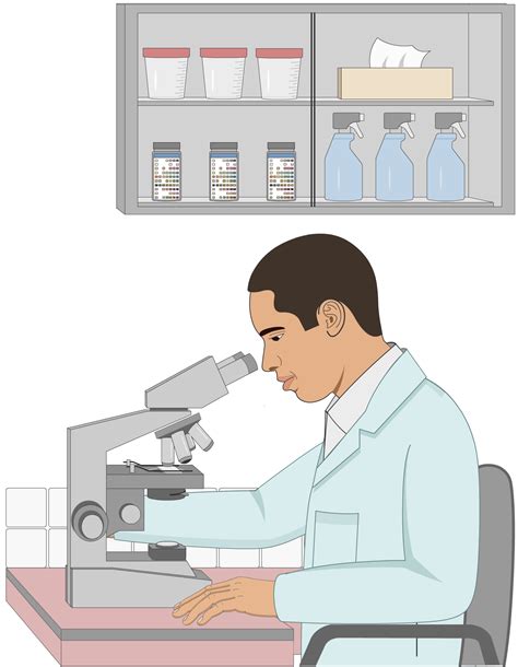 Urinalysis Microscopic Exam – Human Bio Media