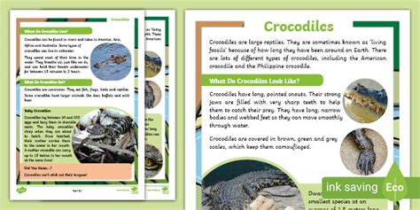 KS1 Crocodiles Fact File (Teacher-Made)