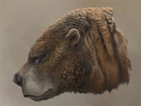 Short-faced Cave Bear | Short faced bear, Stone age animals, Extinct animals