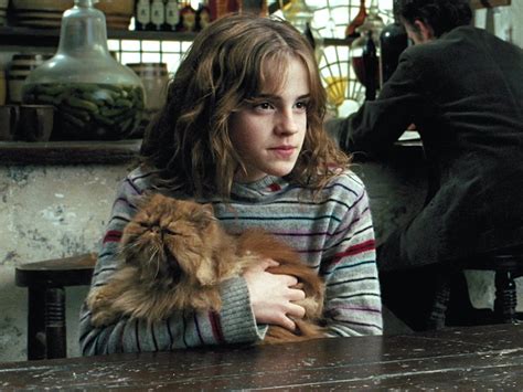 The secret meanings behind the 'Harry Potter' character names ...