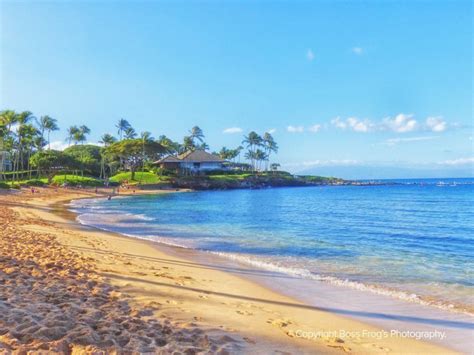 Maui Beach Guide - Kapalua Bay | Perfect beach vacation, Beach, Best ...