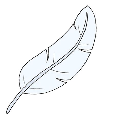 How to Draw a Bird Feather - Easy Drawing Tutorial For Kids