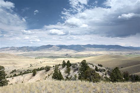 The fossils of Madison County (Montana) – PRI Center for Paleontology