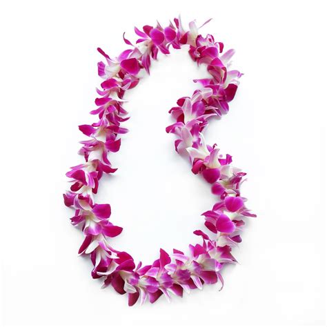 Mix & Match 3 Pack Fresh Orchid Leis| Buy Hawaiian Lei