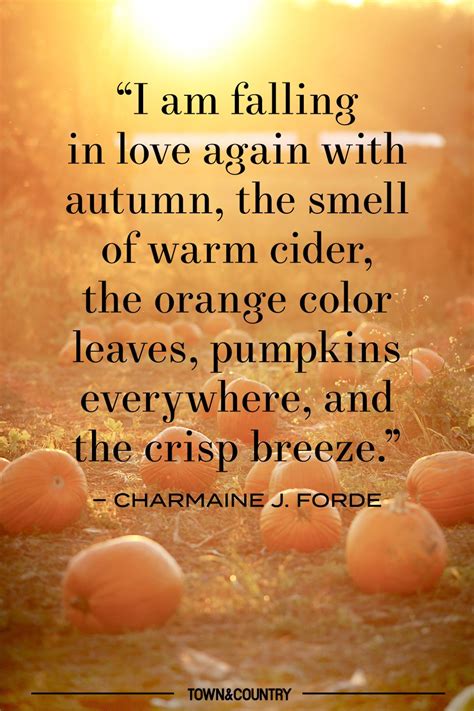 14 Pumpkin Patch Quotes for Fall - Best Pumpkin Quotes to Celebrate Autumn