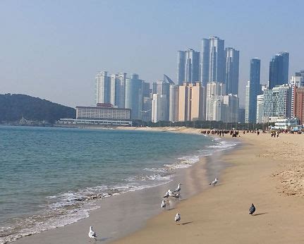 Haeundae Beach, Things to Do & How to Go Guide | KoreaToDo