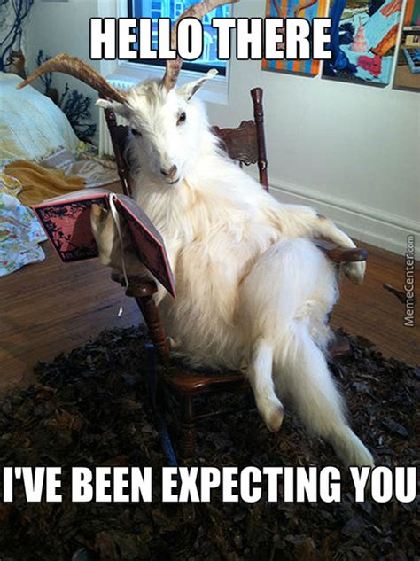 29 Adorable Funny Goat Pictures – EntertainmentMesh