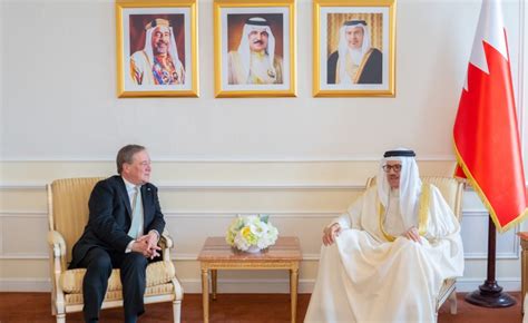 Foreign Minister receives German Bundestag member