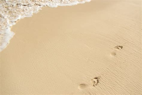 Beach Footprints Free Stock Photo - Public Domain Pictures