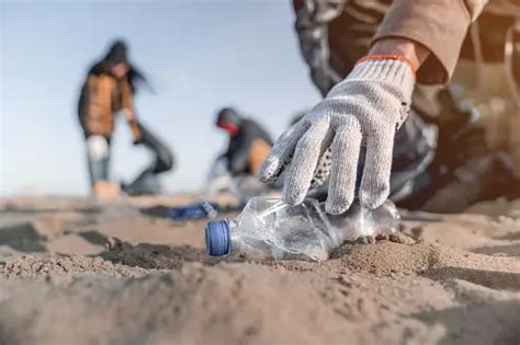 30,000+ Beach Cleanup Pictures | Download Free Images on Unsplash