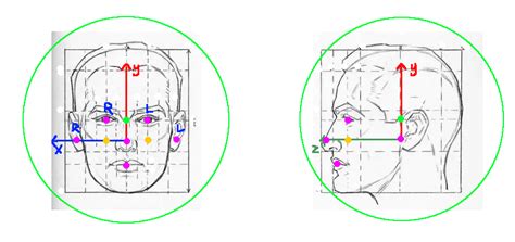 Head tracking with BlazeFace