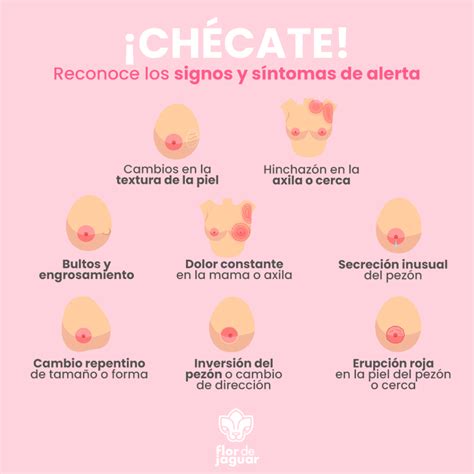 Aprende A Reconocer Los Signos Y Síntomas De Alerta Del Cáncer De Mama - Flor De Jaguar