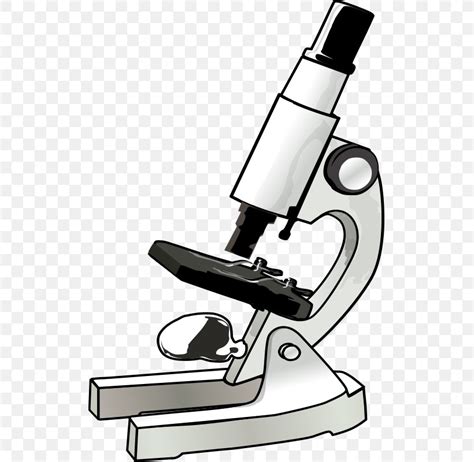 Microscope Cartoon, PNG, 513x800px, Microscope, Biology, Book, Cell, Color Download Free