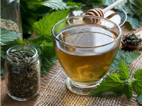 9 Health Benefits of Nettle Tea, How to Make it, & Its Side Effects | Organic Facts