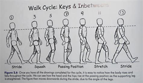 Walk Cycle Rotoscoping