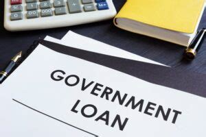 Government Loans: Definition, Functioning, Types of Government Loans