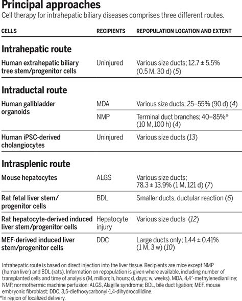 Emerging cell therapy for biliary diseases | Science