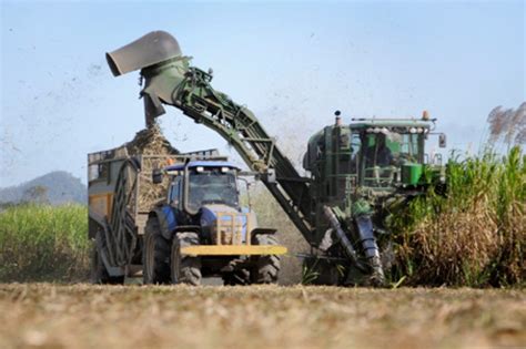 2 Sugarcane being harvested using a harvester and in-field transport ...