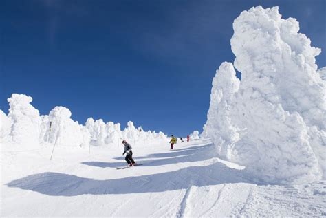 Monstruos de nieve de Zao (Miyagi) | Travel Japan (Organización Nacional de Turismo de Japón)