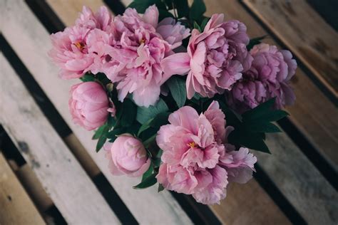 Pink peony flowers bouquet HD wallpaper | Wallpaper Flare