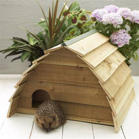 Buying A Hedgehog House - 10 Best Hedgehog Houses For Gardens