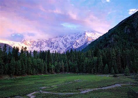 Fairy Meadows in Diamer District, Pakistan, is a magical setting ...