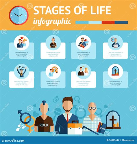 Stages of Life Infographic Report Print Stock Vector - Illustration of ...