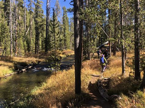 Guided Hikes in Yellowstone National Park | Timberline Adventure Tours