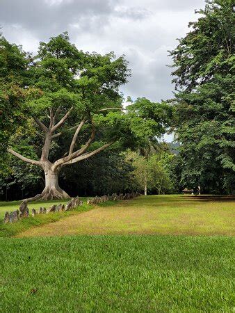 Caguana Ceremonial Park and Museum (Puerto Rico) - 2021 All You Need to Know BEFORE You Go (with ...