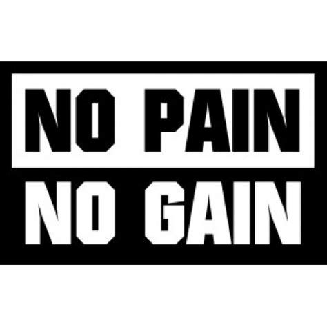 No Pain No Gain Quotes. QuotesGram