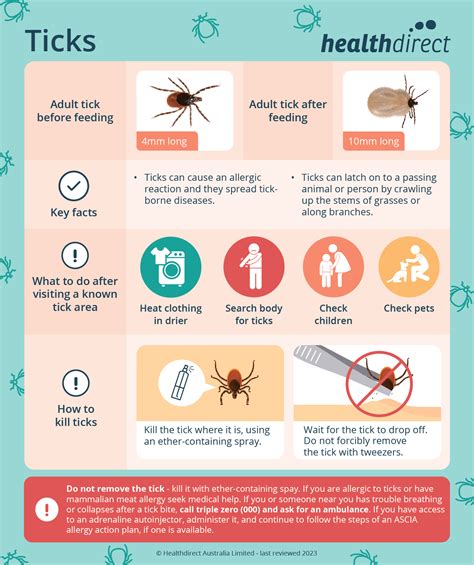 Understanding TICK BITES: SIGNS & Treatment OPTIONS!