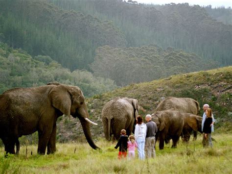 Knysna Elephant Park Lodge