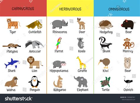 Examples Of Carnivores Herbivores And Omnivores