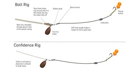 Carp Fishing Rigs Diagrams