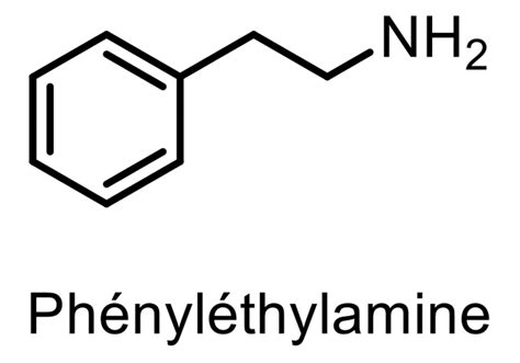 Phényléthylamine : caractéristiques et bienfaits - Nutrixeal Info