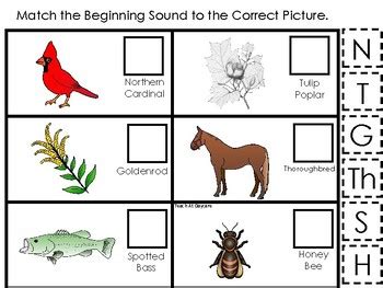 Kentucky State Symbols themed Match the Beginning Sound Game. Preschool ...