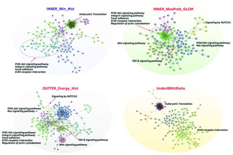 Gene-gene interaction network analysis of trait-associated genes.... | Download Scientific Diagram