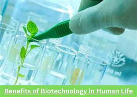 Benefits Of Biotechnology In Human Life » Tameem Daari