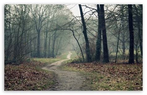 Spooky Autumn | Forest wallpaper, Autumn forest, Landscape