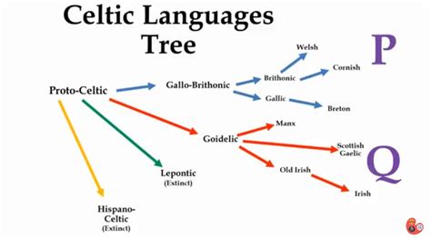 Celtic Languages Tree | Language history